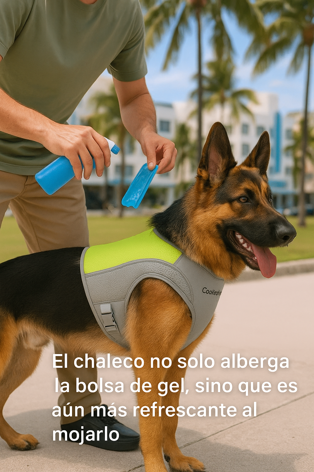 CoolSafe
