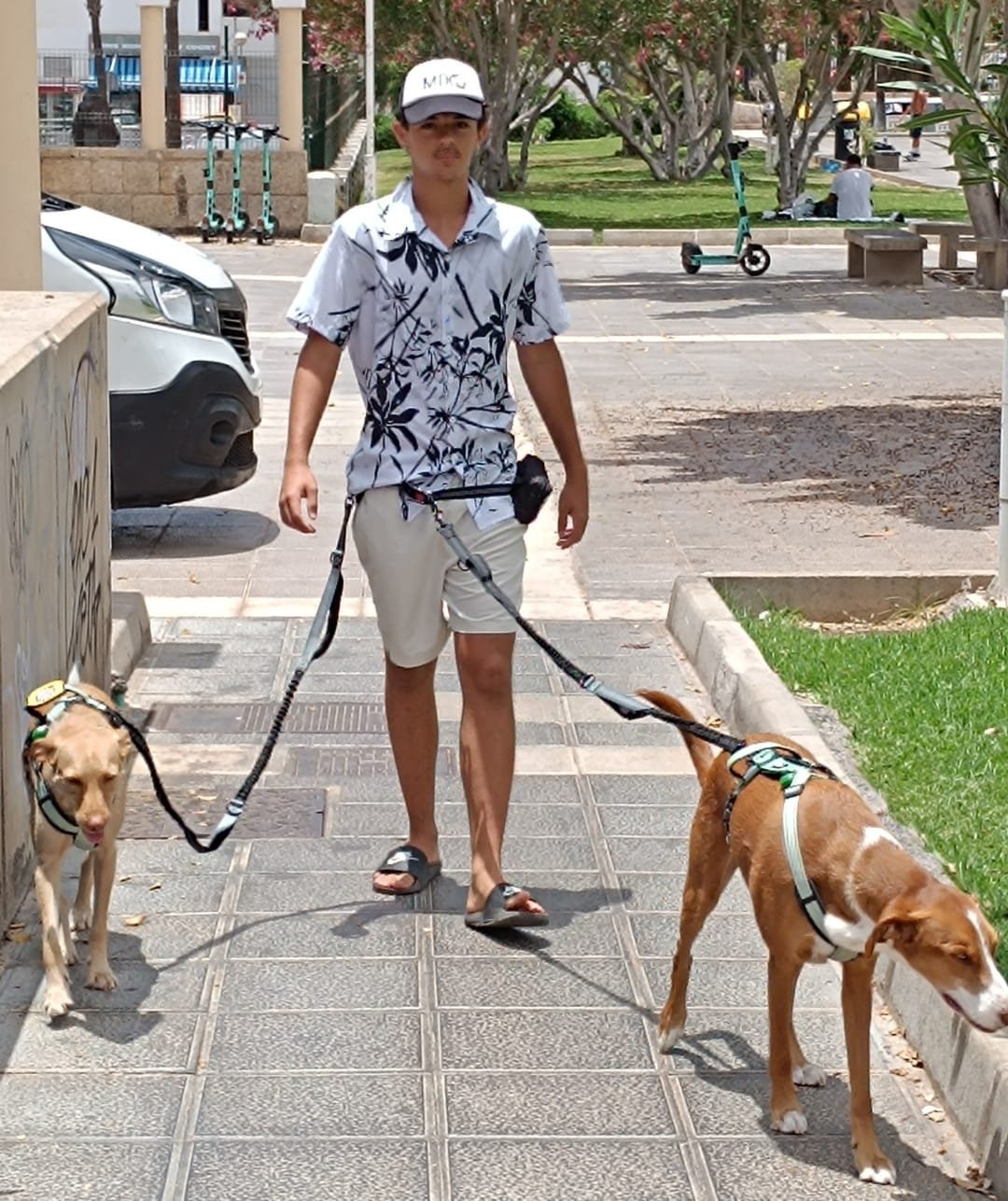 FreePaws 2 Correas